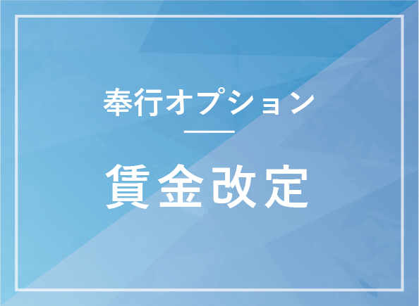 賃金改定オプション