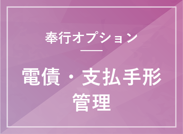  電債・支払手形管理オプション