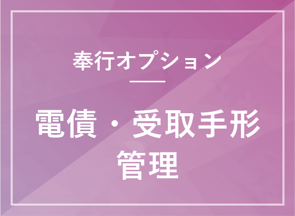 電債・受取手形管理オプション