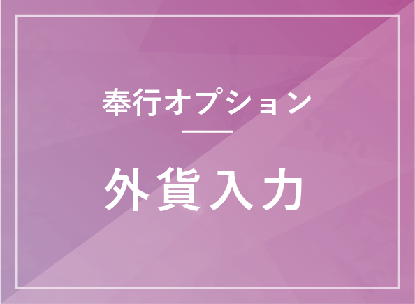 外貨入力オプション