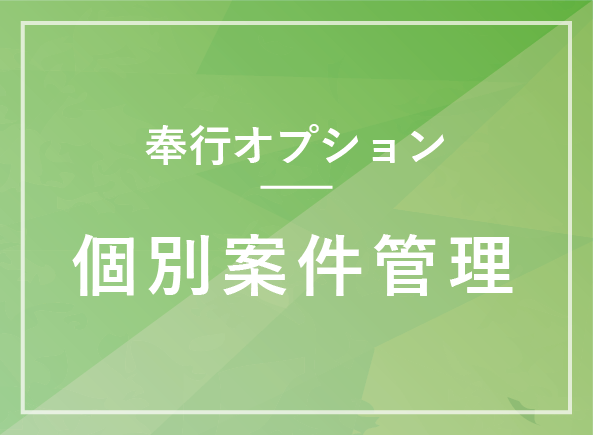 個別案件管理オプション