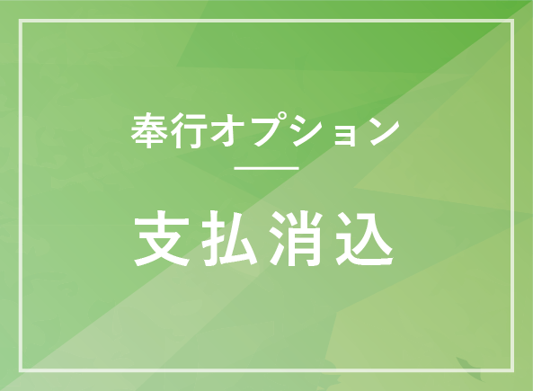 支払消込オプション