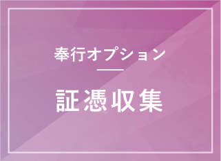 証憑収集オプション